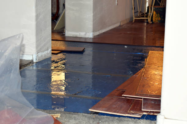 Professional Water Extraction technician working in Falls City, OR